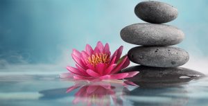 A Lótus Clínica do Ser